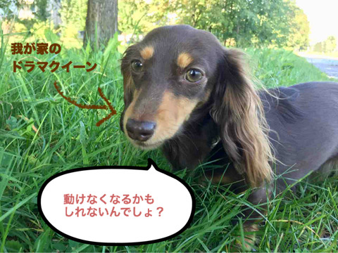 BlogPaint