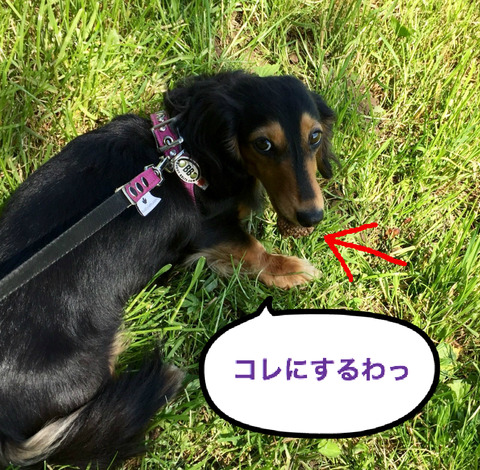 BlogPaint