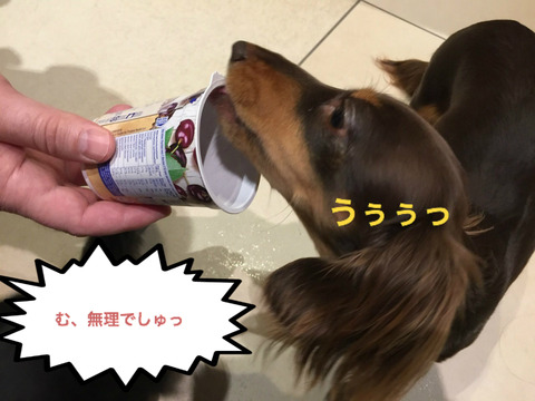 BlogPaint