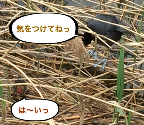BlogPaint