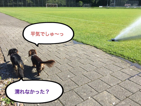 BlogPaint