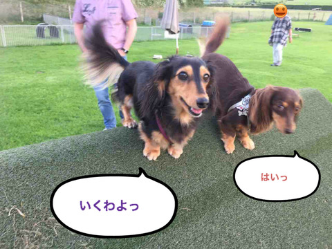 BlogPaint