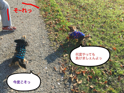 BlogPaint