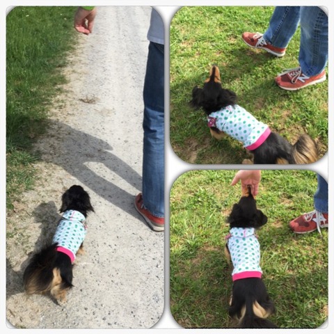 2016-05-01-14-42-16
