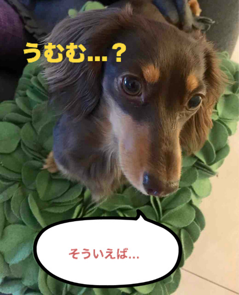 BlogPaint
