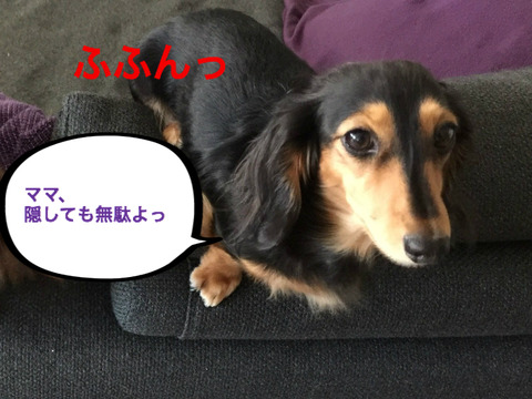 BlogPaint