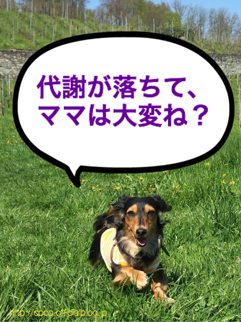 BlogPaint