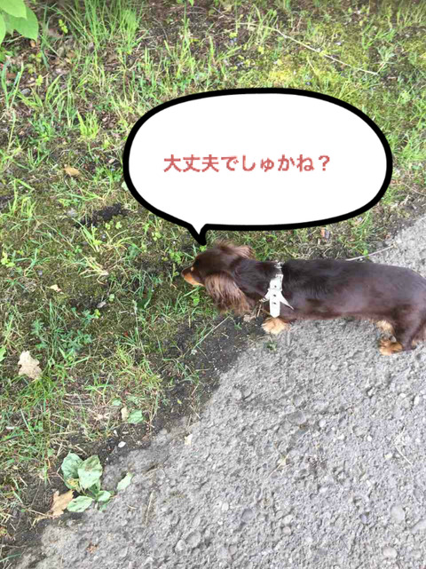BlogPaint