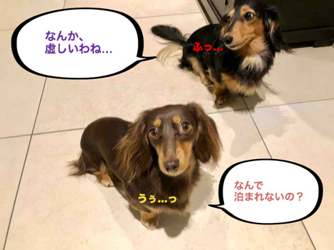 BlogPaint