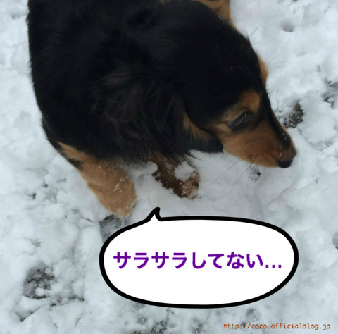 BlogPaint