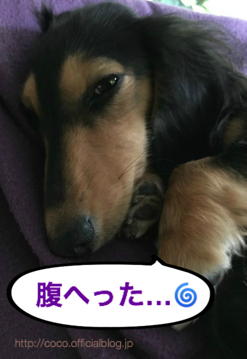 BlogPaint