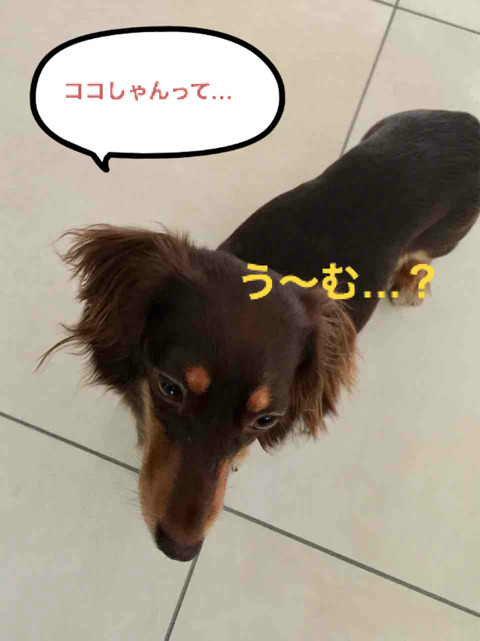 BlogPaint