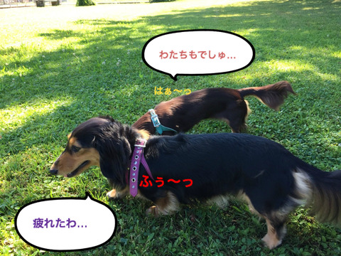 BlogPaint
