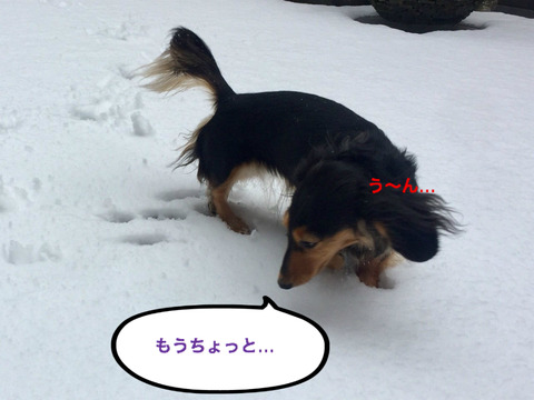 BlogPaint