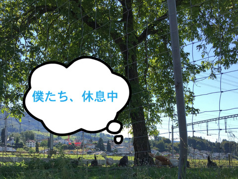 BlogPaint