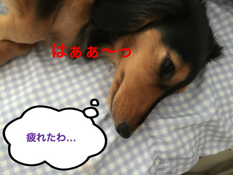 BlogPaint