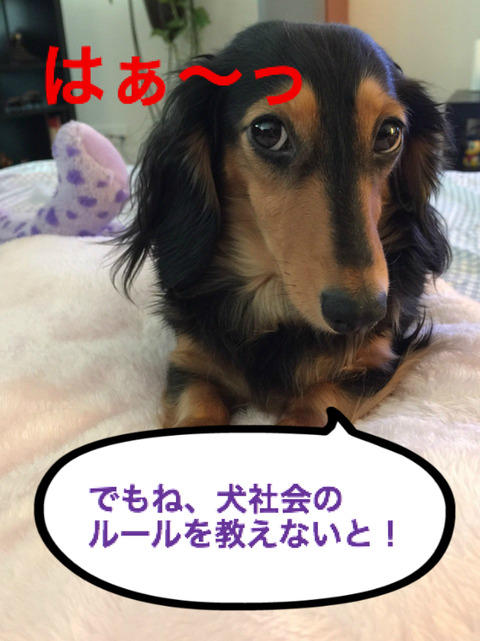 BlogPaint