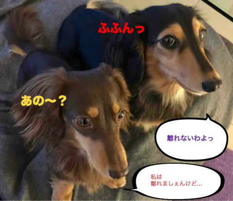 BlogPaint