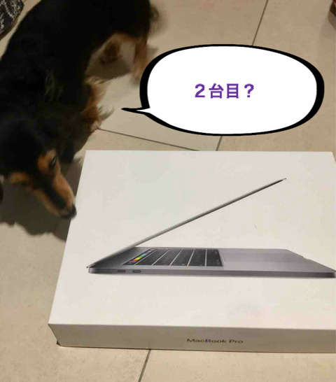 BlogPaint