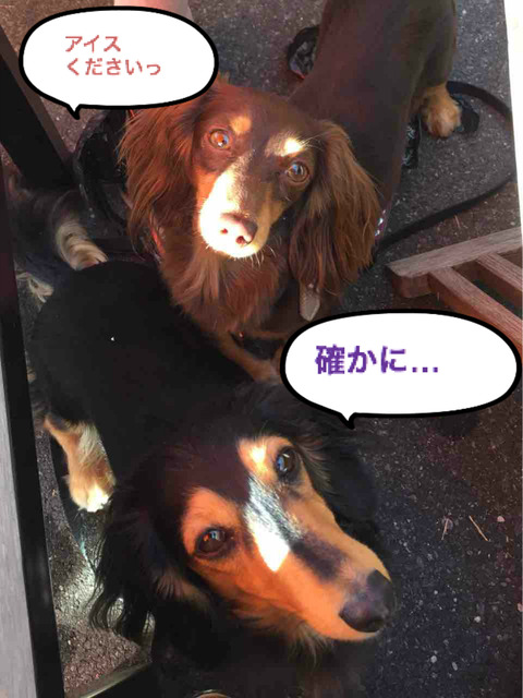 BlogPaint