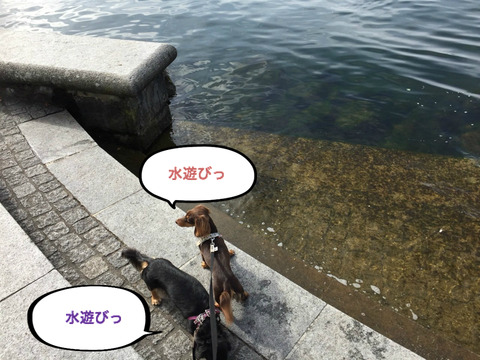 BlogPaint