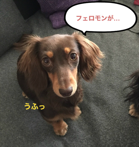 BlogPaint