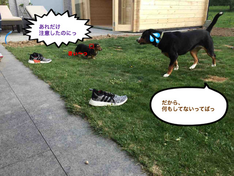 BlogPaint