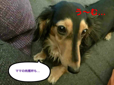 BlogPaint