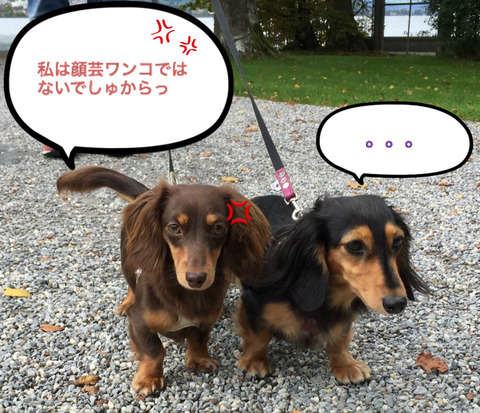 BlogPaint