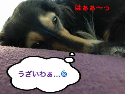 BlogPaint