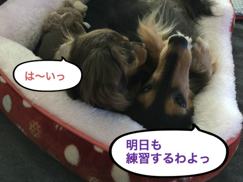 BlogPaint