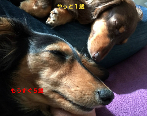BlogPaint