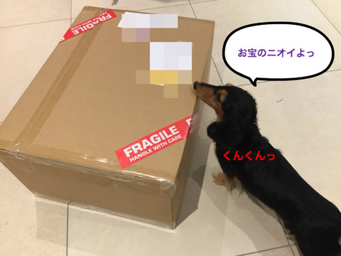 BlogPaint