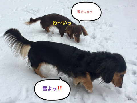 BlogPaint