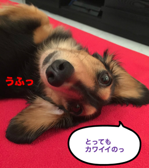 BlogPaint