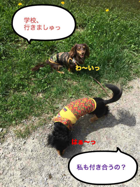 BlogPaint