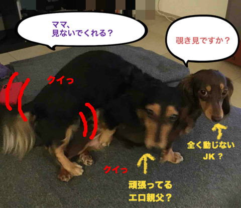 BlogPaint