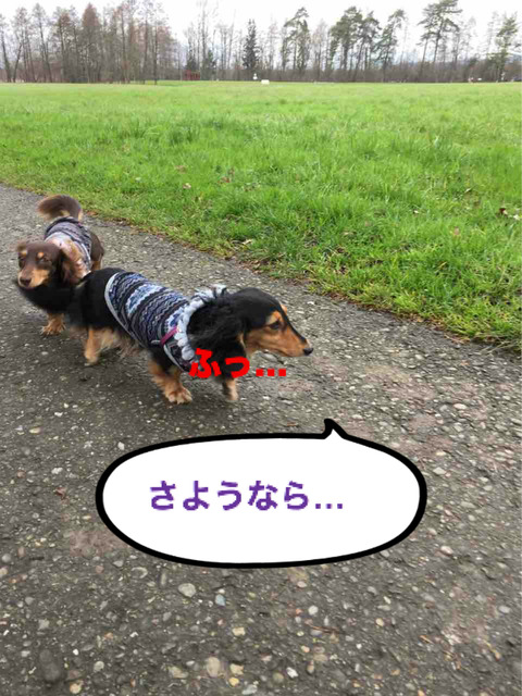 BlogPaint