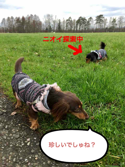 BlogPaint