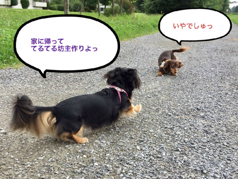 BlogPaint