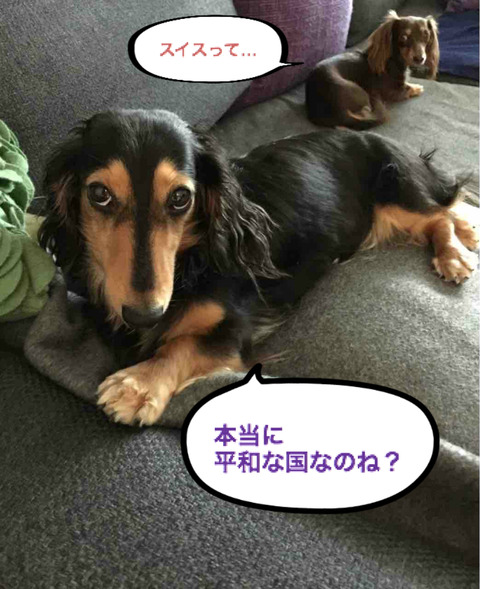 BlogPaint