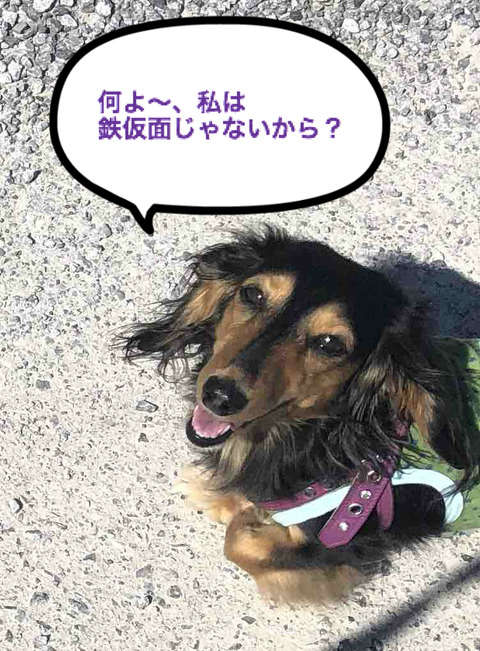 BlogPaint