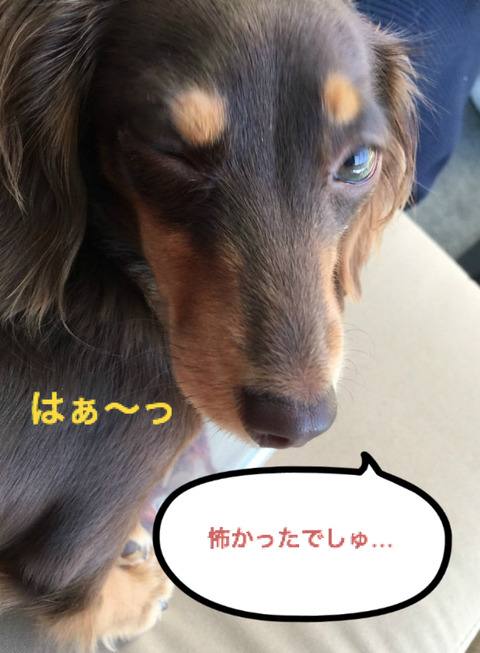 BlogPaint
