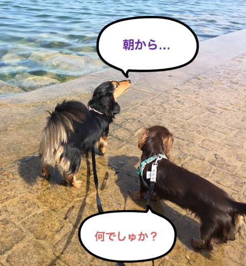 BlogPaint