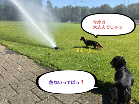 BlogPaint
