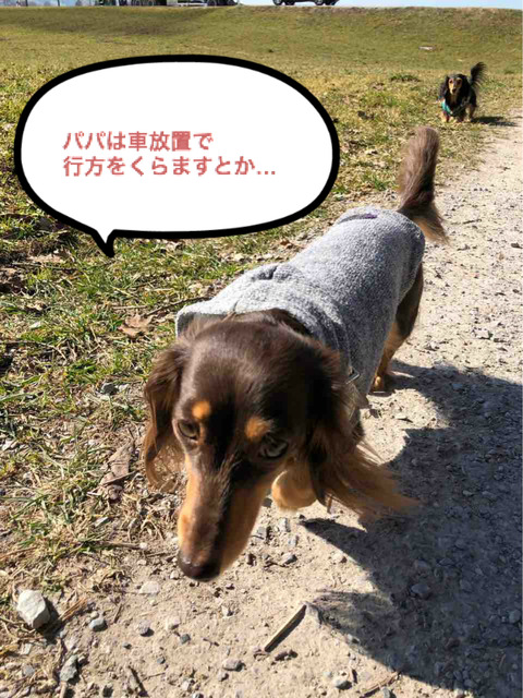 BlogPaint
