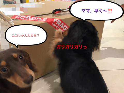 BlogPaint