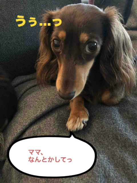 BlogPaint