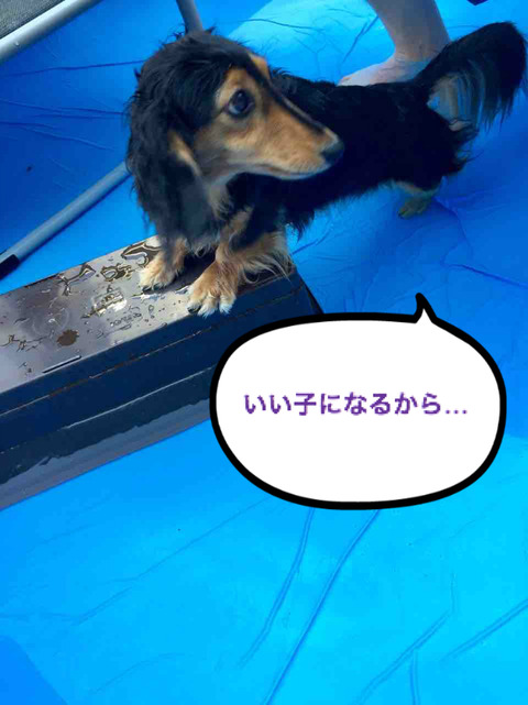 BlogPaint