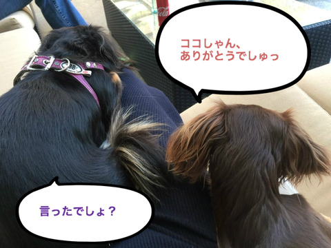 BlogPaint